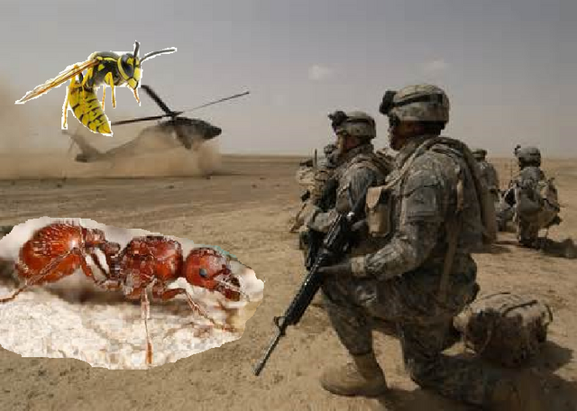 File:Man Vs Insect!.png