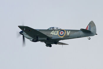 TE311