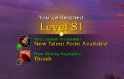 Leveling overlay.jpg