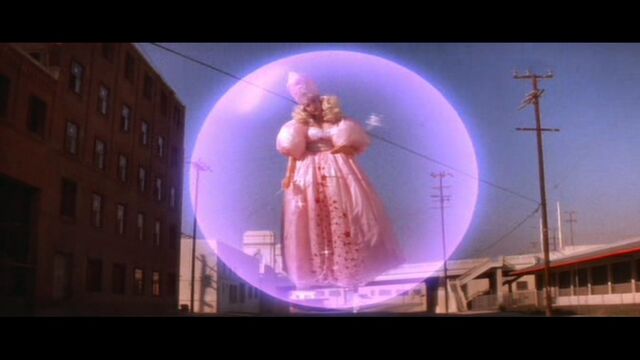 File:Wild at heart.jpg