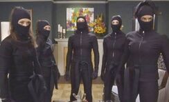 Fox ninjas