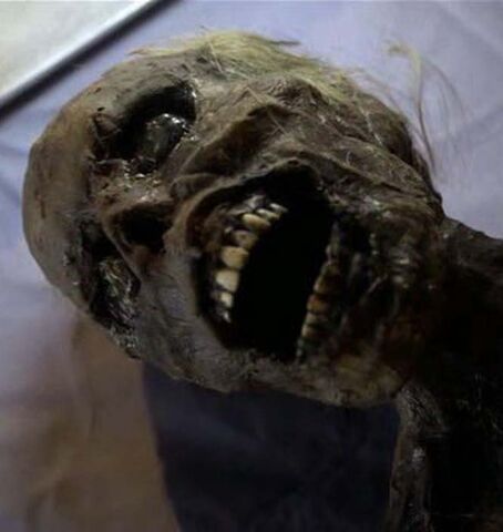 File:Jack2.jpg