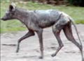 Thumbnail for version as of 15:44, June 7, 2014