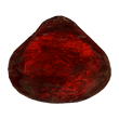 HealOrb