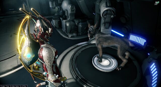 File:Lotus leg striped kubrow.jpg