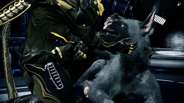 File:Warframe0014.jpg