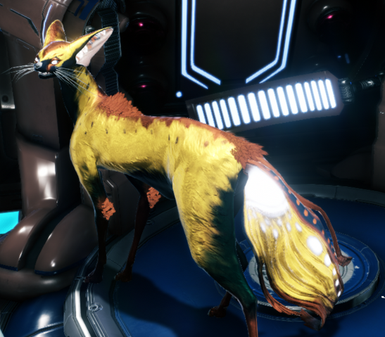 File:Smeeta Kavat Guppy Tail Brown-Yellow.png