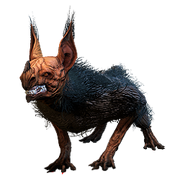 KubrowWild.png