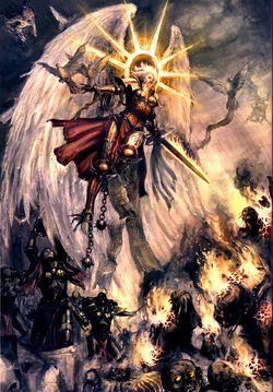 Sister of Battles in Combat