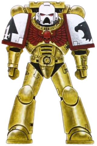 File:Emperor's Storm Astartes.jpg