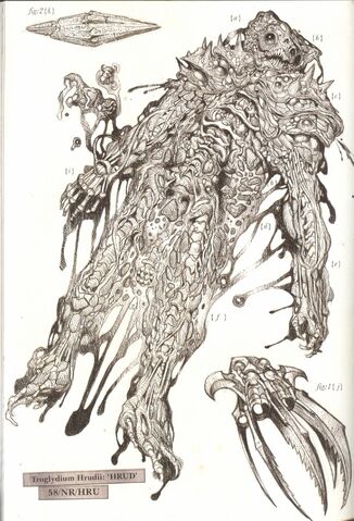 File:DissectedHrud.jpg