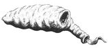 Squig-paint.jpg