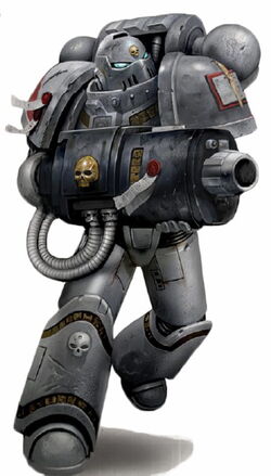 PurgationSquadGreyKnight