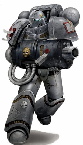 File:PurgationSquadGreyKnight.jpg