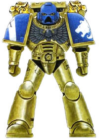Celestial Lions Updated.jpg
