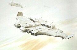 Tiger Shark2