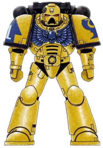File:Libators Colour Scheme.jpg