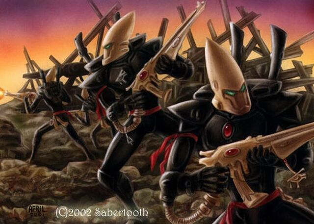 File:Ulthwe Black Guardian Defenders.jpg