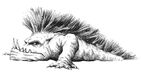 Squig-basic.jpg