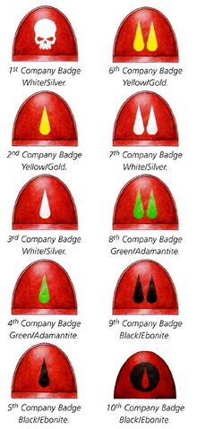 File:Company Markings.jpg