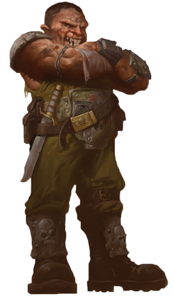 Orcus Ogryn