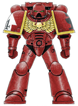 BD Battle Brother