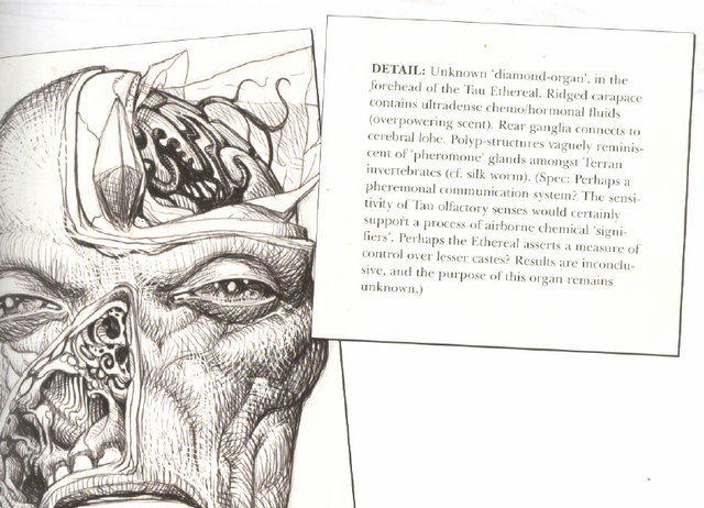File:EtherealDiamondOrgan.png