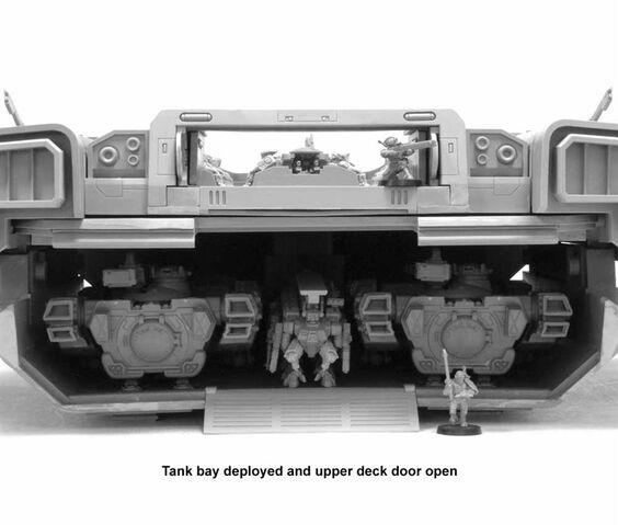 File:Manta21.jpg