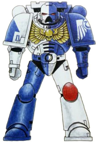 File:Sons of Guilliman Marine.jpg