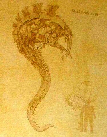 File:MalanthropeSketch.jpg