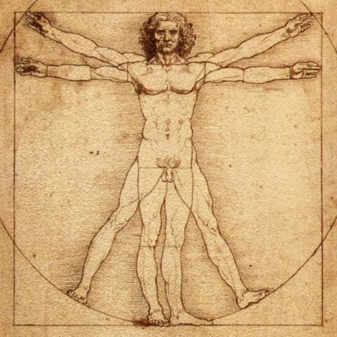 File:Vitruvian-Man.jpg