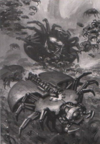 File:Canoptekspyder1.jpg