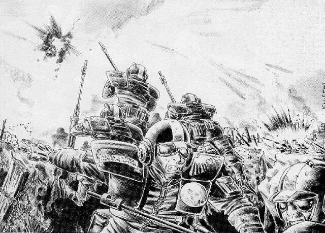 File:Whiteshields.jpg