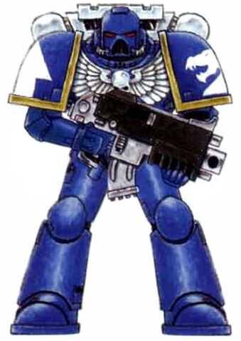 File:SD Marine.jpg