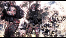 Free Rifles on mission