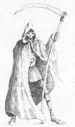 Mardagg