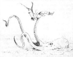 Bog Octopus