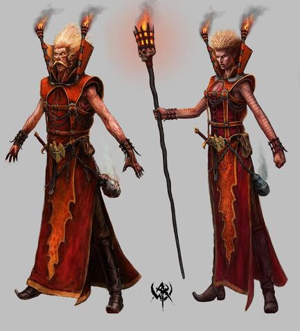ファイル:Bright Wizard concept art.jpg
