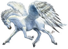 Creature Pegasus.jpg