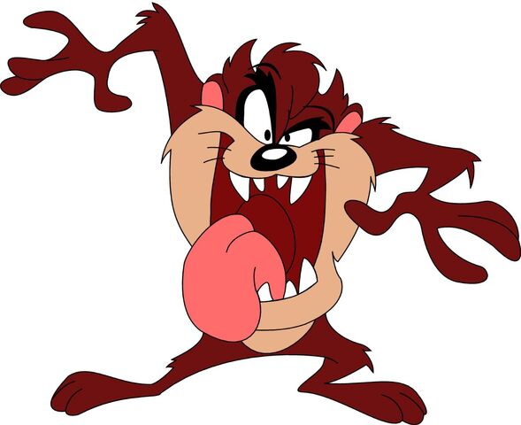 File:Tasmanian Devil.jpg