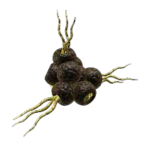 File:Plako.png