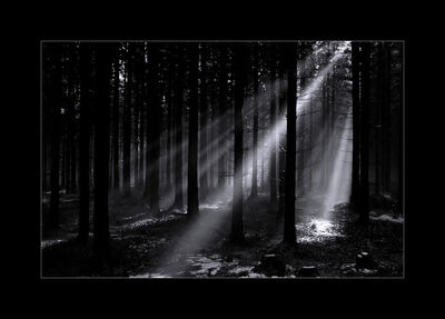 Licht-in-der-finsternis-ii-34da202b-636a-4ffc-9a1e-0b311756ce48.jpg
