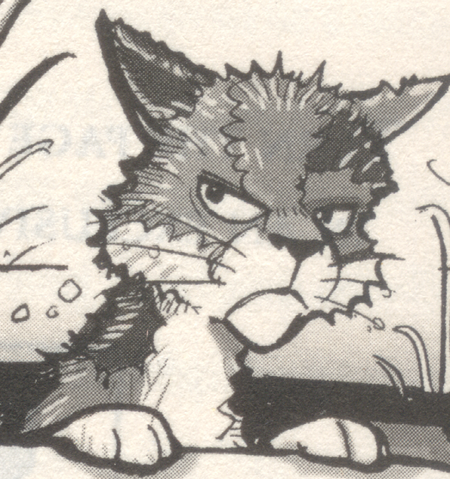 Datei:Moospelz1.png