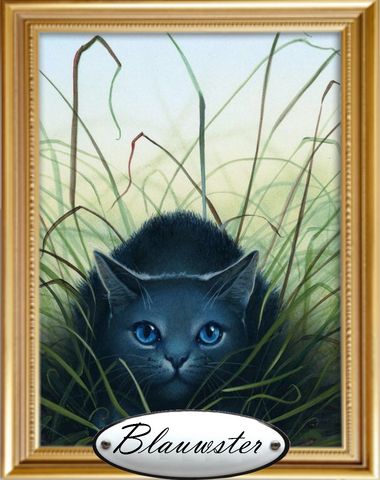 Bestand:Blauwstersportret.png