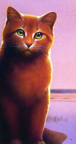 Bestand:Russetfur.jpg