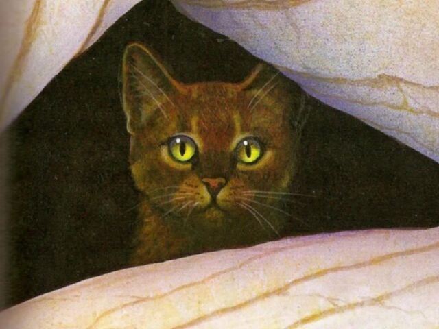 Bestand:Mudclaw.jpg