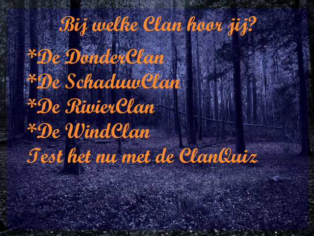 Bestand:Quizbegin.png
