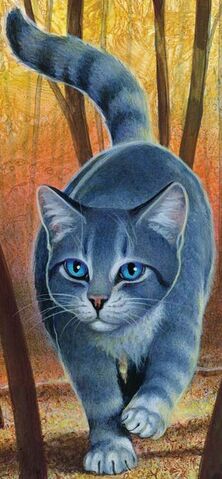 Datei:CCSilverstream.jpg