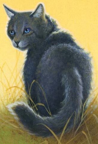 Datei:CCCinderpelt.jpg