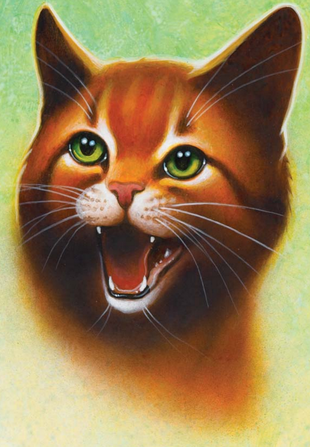 Warrior Cats Feuerherz Zeichnen Warrior Cats Feuerherz Zeichnen